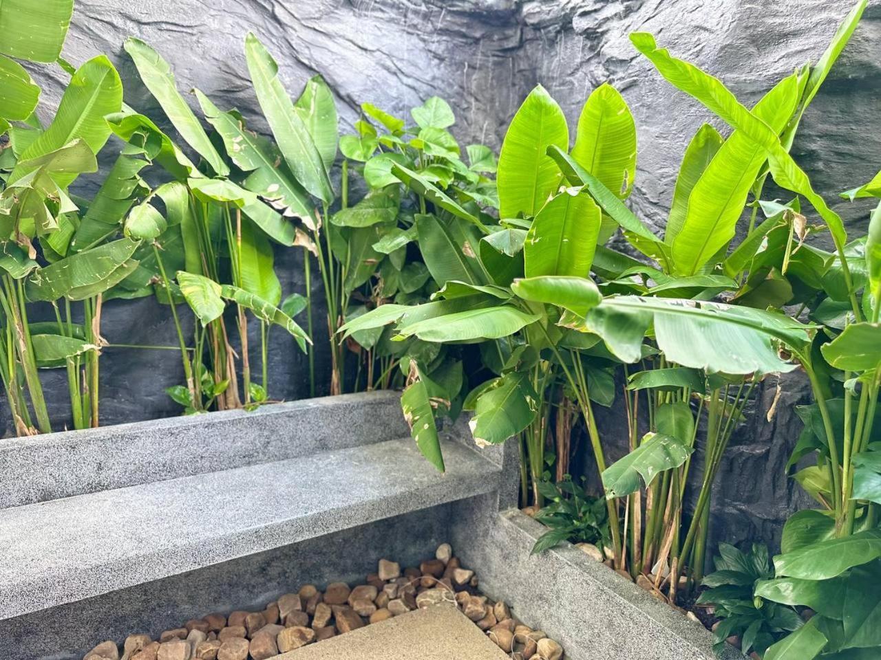 Raing Phnom Bungalow Kampot Ngoại thất bức ảnh